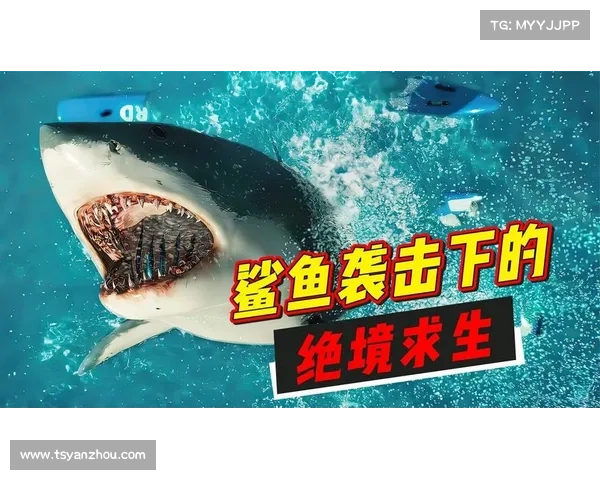 逃生1:绝境求生,解开谜团重见天日 逃生1:绝境求生,解开谜团重见天日